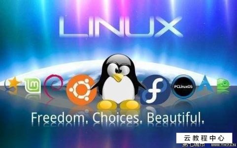 linux查看端口是否占用